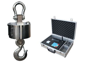 ocs 1吨电子吊秤,1t电子挂钩称厂家批发