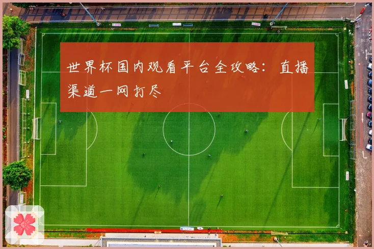世界杯国内观看平台全攻略:直播渠道一网打尽