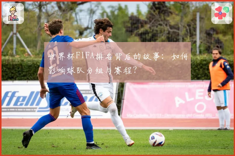 世界杯FIFA排名背后的故事：如何影响球队分组与赛程？
