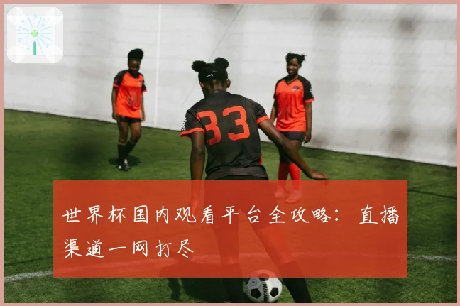 世界杯国内观看平台全攻略：直播渠道一网打尽