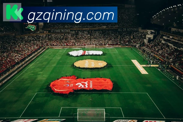 多媒体互动体验