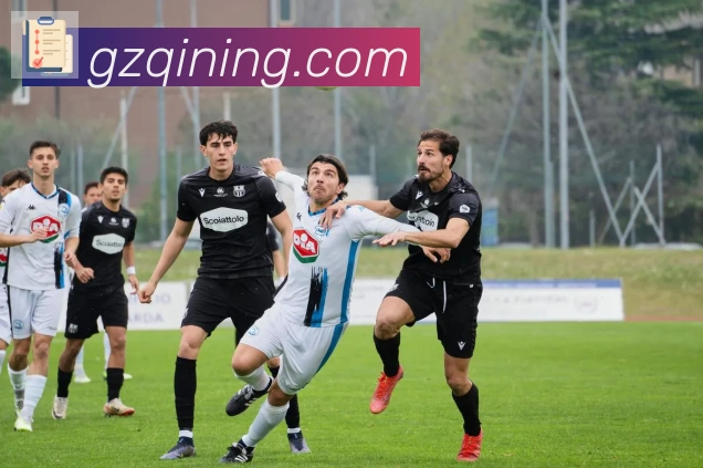 必一体育官网荣誉