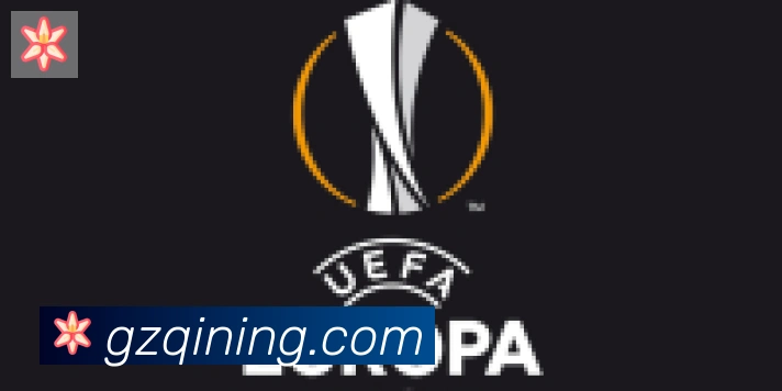 必一体育官网合作伙伴